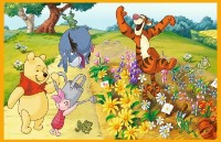 Пазл Trefl 2x24 Disney Winnie the Pooh (34436)