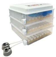 Incubator Demetra DM-176
