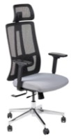 Scaun de birou Antares Ruben Grey/Black