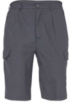 Мужские шорты Fridrich & Fridrich Johan 0357001600, s.48