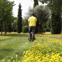 Газонокосилка бензиновая Garland Sioux 1055ZSG-V23 фото №7 — интернет-магазин Desire.md