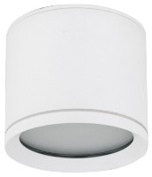 Спот Tk-Lighting Vivo 10595 White