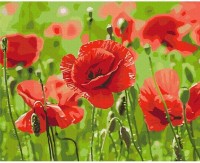 Tablou pe numere Brushme Maci roșii (BS53703FC)