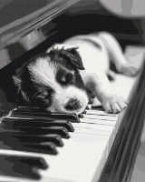 Tablou pe numere Brushme Mașina neastâmpărată (BS54066)