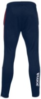 Pantaloni spotivi pentru bărbați Joma 102752.336 Navy/Red 2XL imaginea #2 — magazin online Desire.md