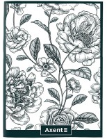 Caiet Axent A4/48p (4780-5-A) imaginea #1 — magazin online Desire.md