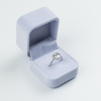 Inel Iris Wish s.17 Silver (446)