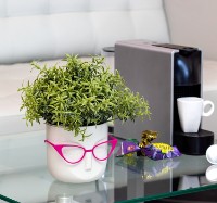 Ghiveci M Plastik Мари М3075 imaginea #5 — magazin online Desire.md