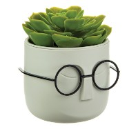 Ghiveci M Plastik Стив М3079 imaginea #8 — magazin online Desire.md