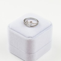 Inel Iris Wish s.19 Silver (391)