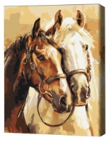 Tablou pe numere Brushme Cai nobili (RBS54019FC)