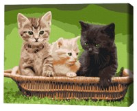 Tablou pe numere Brushme Pisoi în coș (RBS52621FC)