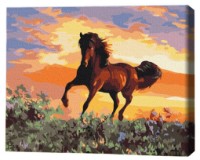 Tablou pe numere Brushme Cal (RBS6943FC)