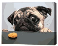 Tablou pe numere Brushme Mopsul (BS8765FC)