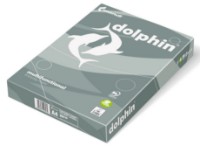 Hartie copiator Everyday А4 80g/m2 500p