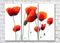 Картина ArtPoster Red poppies (500349)