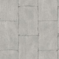 Обои GranDeco Textured Plains TP3004