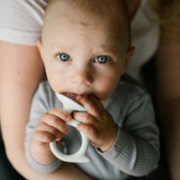 Игрушка-прорезыватель BabyOno Snail Pink (1597/01) фото №4 — интернет-магазин Desire.md