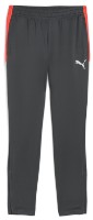 Pantaloni spotivi pentru bărbați Puma Individualliga Training Pants Shadow Gray/Puma White/Glowing Red, s.XL