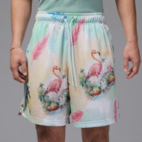 Мужские шорты Nike M Jordan Ess Smr Pk Aop Msh Short Sail/Glacier Blue, s.M