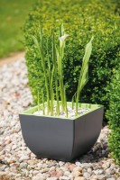 Ghiveci Form Plastic Muna (2735-014) imaginea #2 — magazin online Desire.md