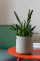 Цветочный горшок Potterypots Charlie S Grey Washed фото №2 — интернет-магазин Desire.md