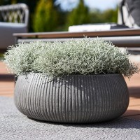 Цветочный горшок Potterypots Eileen XL Dark Grey фото №2 — интернет-магазин Desire.md