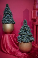 Цветочный горшок Potterypots Mini Orb M Metalic Gold фото №2 — интернет-магазин Desire.md