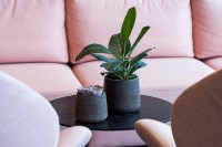 Цветочный горшок Potterypots Patt XXXL Black Washed фото №2 — интернет-магазин Desire.md