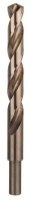 Burghiu Bosch B2608585921