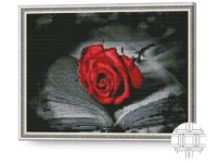 Pictura cu diamante după numere Art Gallery Premium randafir roșu pe carte 40x50cm (QB204083) imaginea #1 — magazin online Desire.md