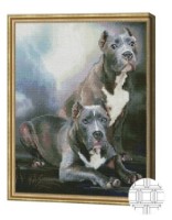 Pictura cu diamante după numere Art Gallery Premium Pitbull american 40x50cm (QB203235) imaginea #1 — magazin online Desire.md