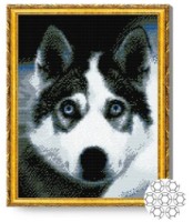 Pictura cu diamante după numere Art Gallery Premium Privirea lui husky 40x50cm (GA81621)