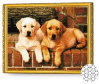 Pictura cu diamante după numere Art Gallery Premium Frați aurii 40x50cm (GA75109)