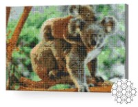 Pictura cu diamante după numere Art Gallery Premium Koala cu puiul său 30x40cm (XQB80881)