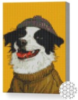 Pictura cu diamante după numere Art Gallery Premium Câine mișto 20x30cm (XQC80018) imaginea #1 — magazin online Desire.md