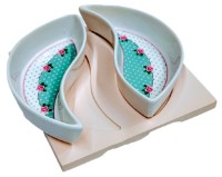 Менажница Lagusto ZP-483 17x15