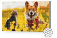Pictura cu diamante după numere Art Gallery Premium Câinele și motanul în poiană 20x30cm (XQC84007)