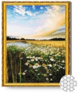 Pictura cu diamante după numere Art Gallery Premium Câmpul de flori 40x50cm (GA79745)