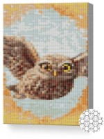 Pictura cu diamante după numere Art Gallery Premium Zborul bufniței 20x30cm (XQC84115)