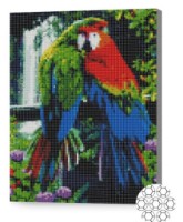 Pictura cu diamante după numere Art Gallery Premium Papagali în junglă 30x40cm (XQB74007)