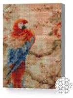Pictura cu diamante după numere Art Gallery Premium Papagal pe creangă înflorită 20x30cm (XQC80011)