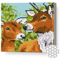 Pictura cu diamante după numere Art Gallery Premium Familia de cerbi 20x20cm (BJ451)