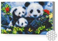 Pictura cu diamante după numere Art Gallery Premium Familia urșilor panda 20x30cm (XQC80787)