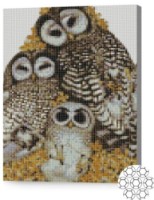 Pictura cu diamante după numere Art Gallery Premium Familia de bufnițe 30x40cm (XQB84048)