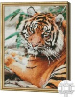 Pictura cu diamante după numere Art Gallery Premium Tigru serios 40x50cm (QB205028)