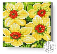 Pictura cu diamante după numere Art Gallery Premium Narciși aprinși 20x20cm (BJ555)
