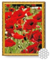 Pictura cu diamante după numere Art Gallery Premium Maci aprinși 40x50cm (GA85946) imaginea #1 — magazin online Desire.md