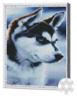 Pictura cu diamante după numere Art Gallery Premium Cățeluș husky 40x50cm (QB204798) imaginea #1 — magazin online Desire.md