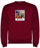 Мужская толстовка Soling Новогодний кот Red, s.L (print-nc)
